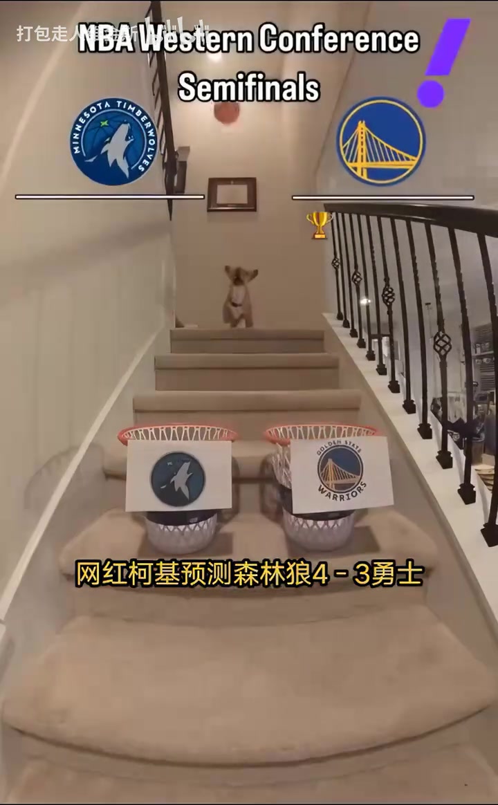 搶七決戰(zhàn)網(wǎng)紅柯基預(yù)測系列賽走向森林狼4比3戰(zhàn)勝勇士